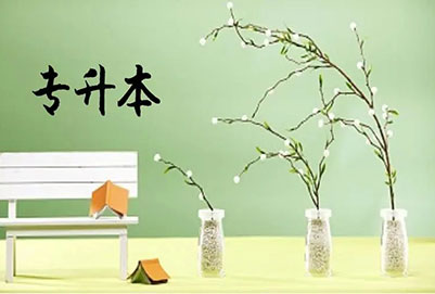 浙江音樂(lè)學(xué)院專升本音樂(lè)表演(流行演唱)專業(yè)詳情