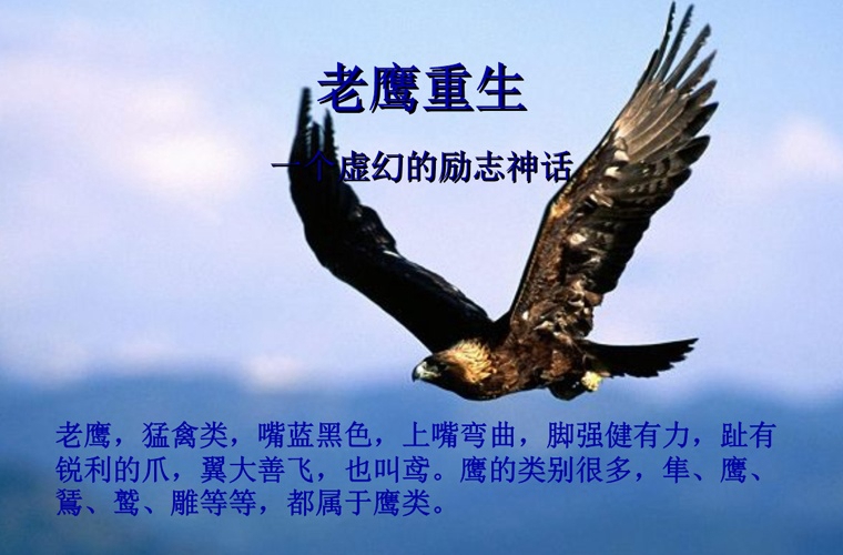 懷化城南職業(yè)學(xué)校2024年學(xué)費(fèi)多少錢(qián)一年