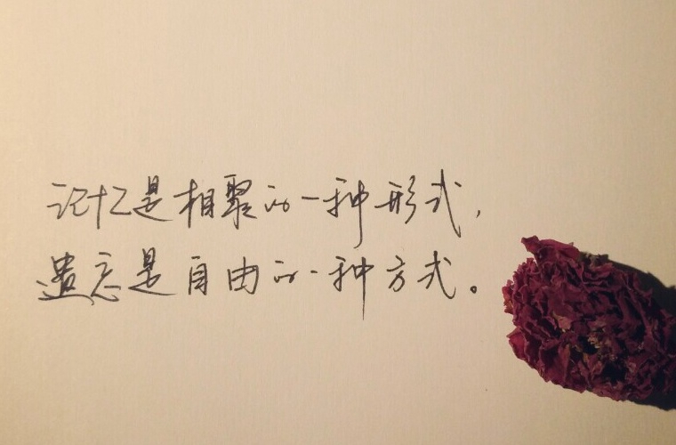 懷安職教中心2024年學(xué)費多少？貴嗎？
