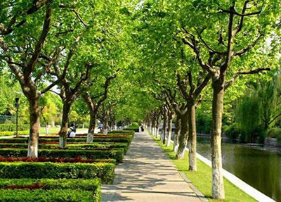 西安市機電職業(yè)技術(shù)學(xué)校2025年報名條件是什么