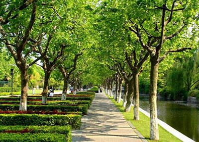 岳陽(yáng)市春雷學(xué)校2024年學(xué)費(fèi)多少錢(qián)一年