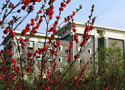 樅陽縣職業(yè)技術(shù)學(xué)校2024年學(xué)費(fèi)多少？貴嗎？